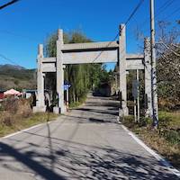 茅山后佛见喜梨销售地点-茅山后村7号